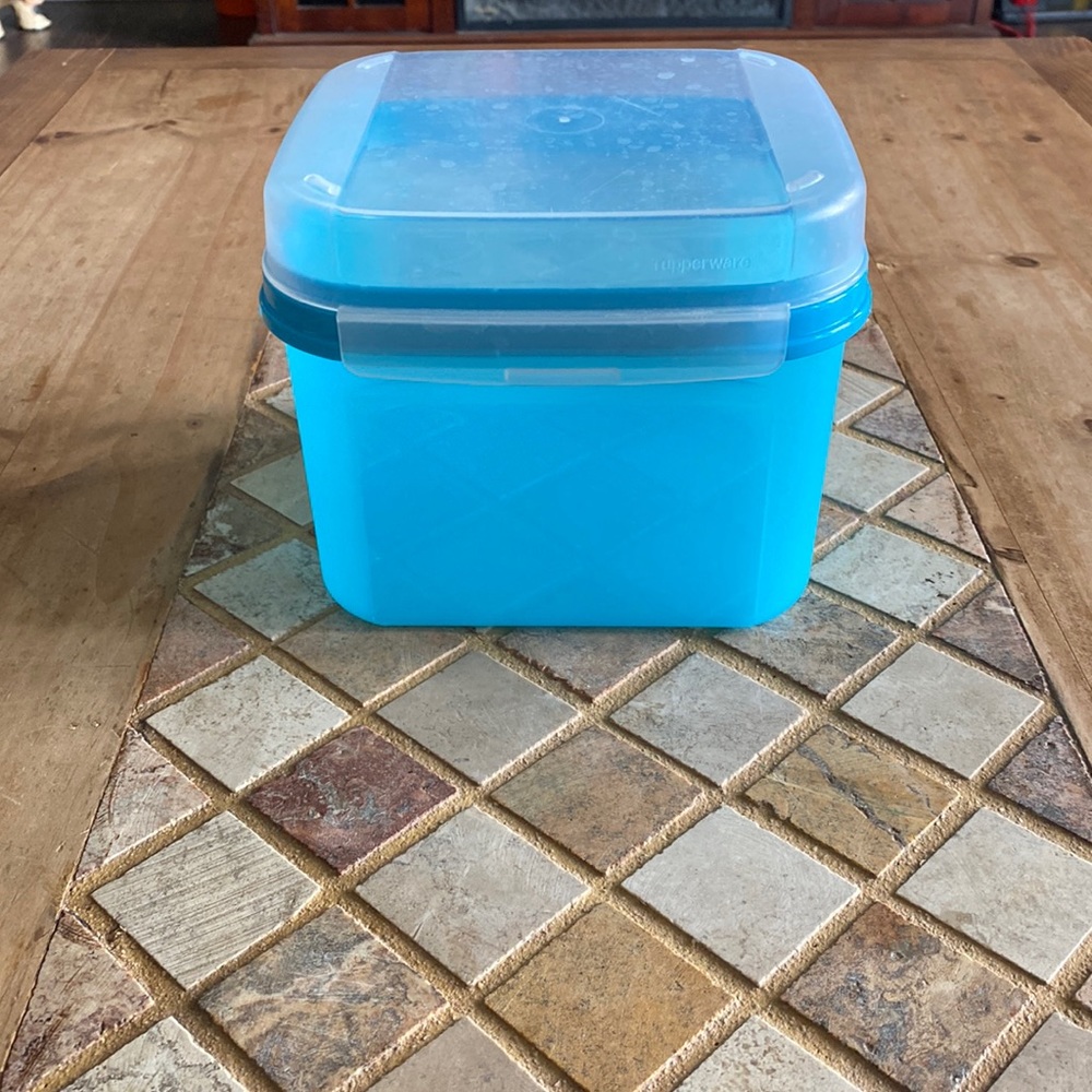 Tupperware Container 11 Cups in Size🥰🥰